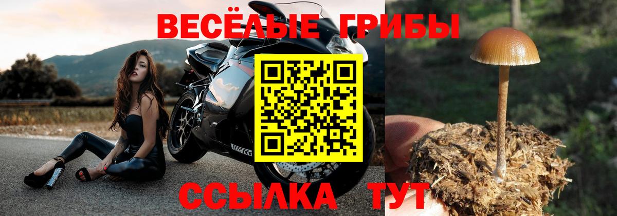 Галлюциногенные грибы мухоморы  Вход с VPN  Выборг 